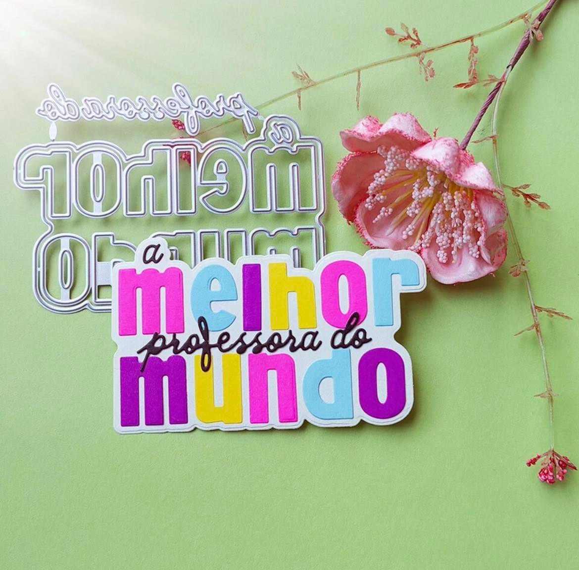 MELHOR PROFESSOR DO MUNDO
