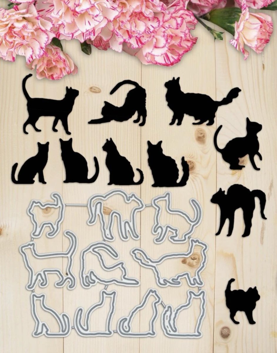 KIT GATINHOS