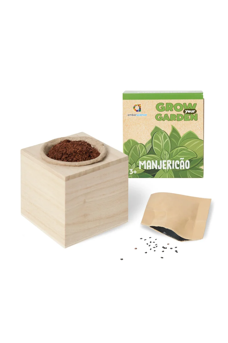 Grow your Garden – Manjericão (3+)